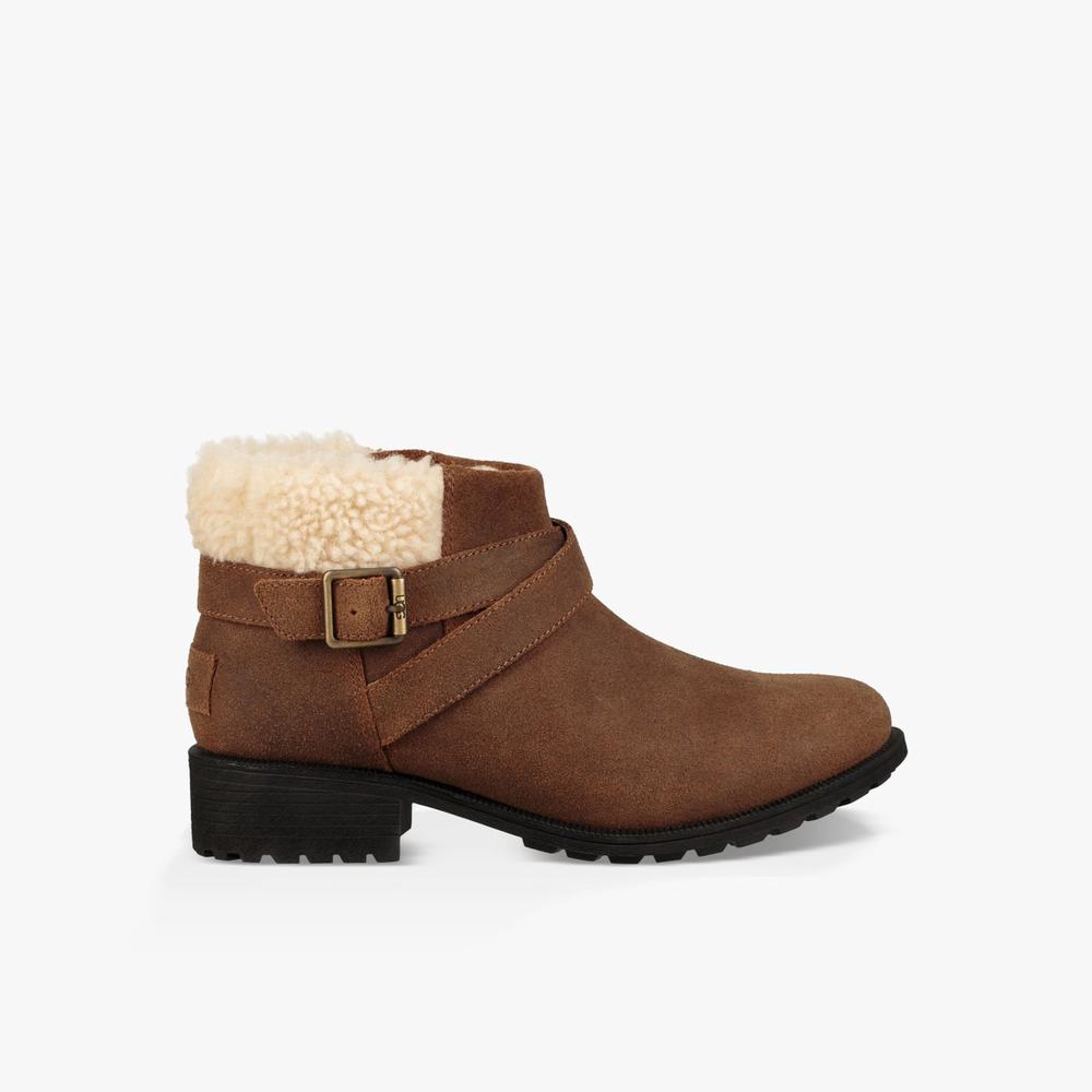 Bottine UGG Benson Femme Marron Soldes 961IYCML